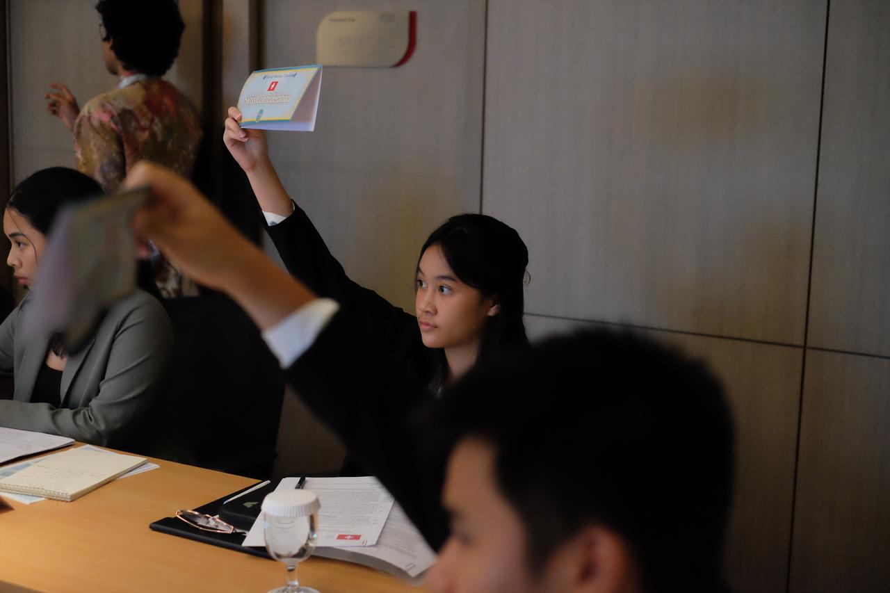 Model United Nations