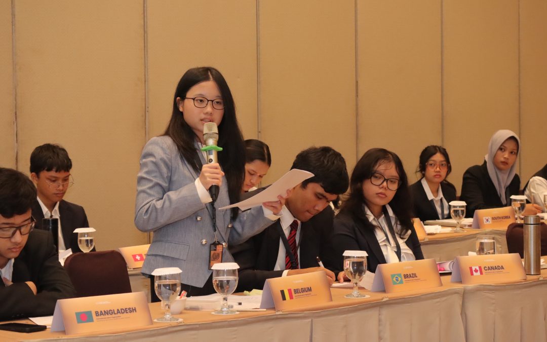 How to Improve Public Speaking Through Model United Nations (MUN)