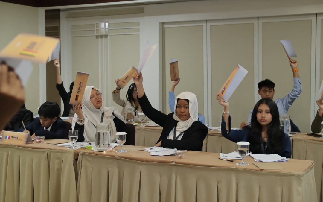 Understanding the Different Councils in Model United Nations: A Clear Guide for Beginners