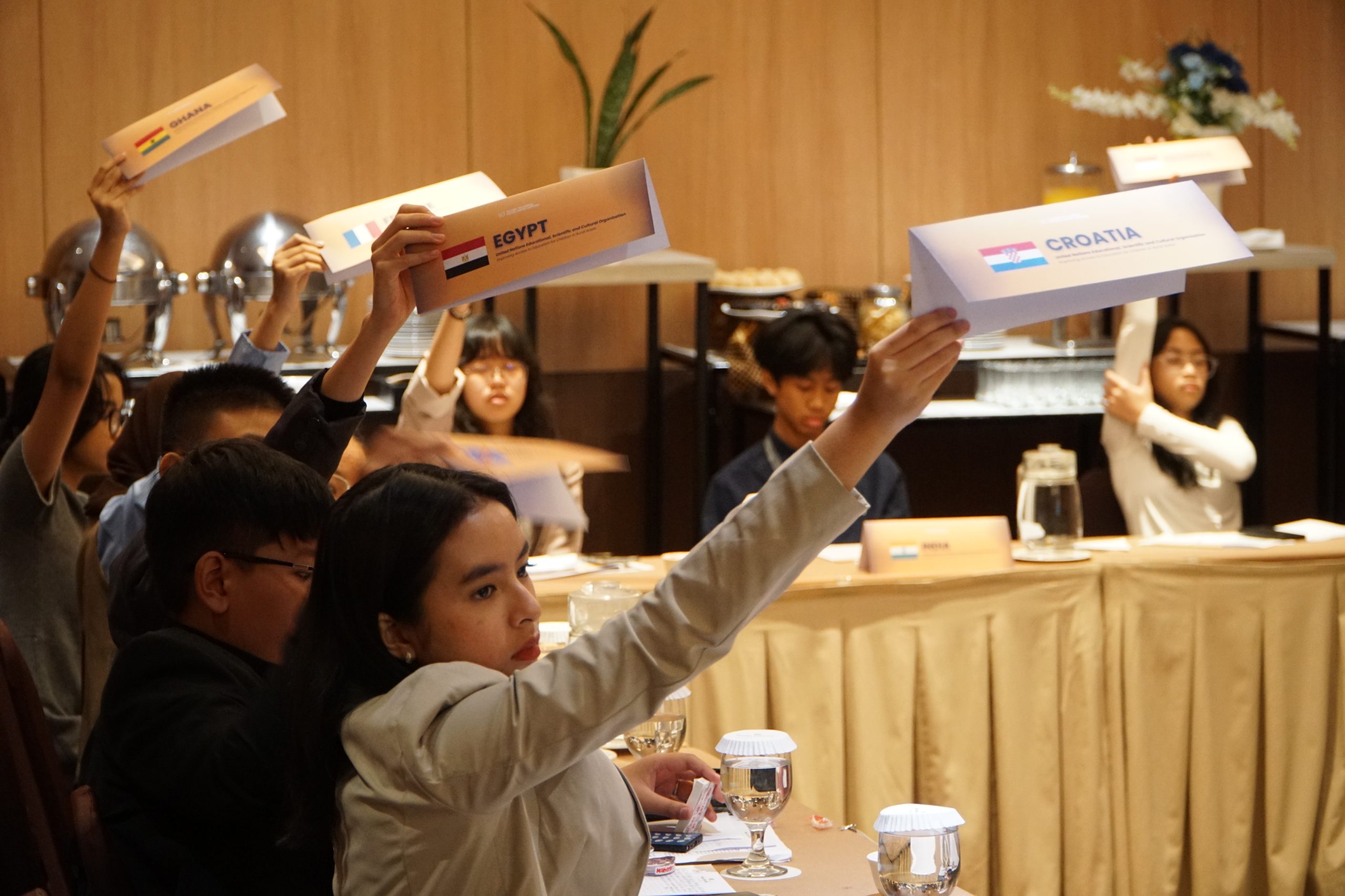 DSC06203 Model United Nations