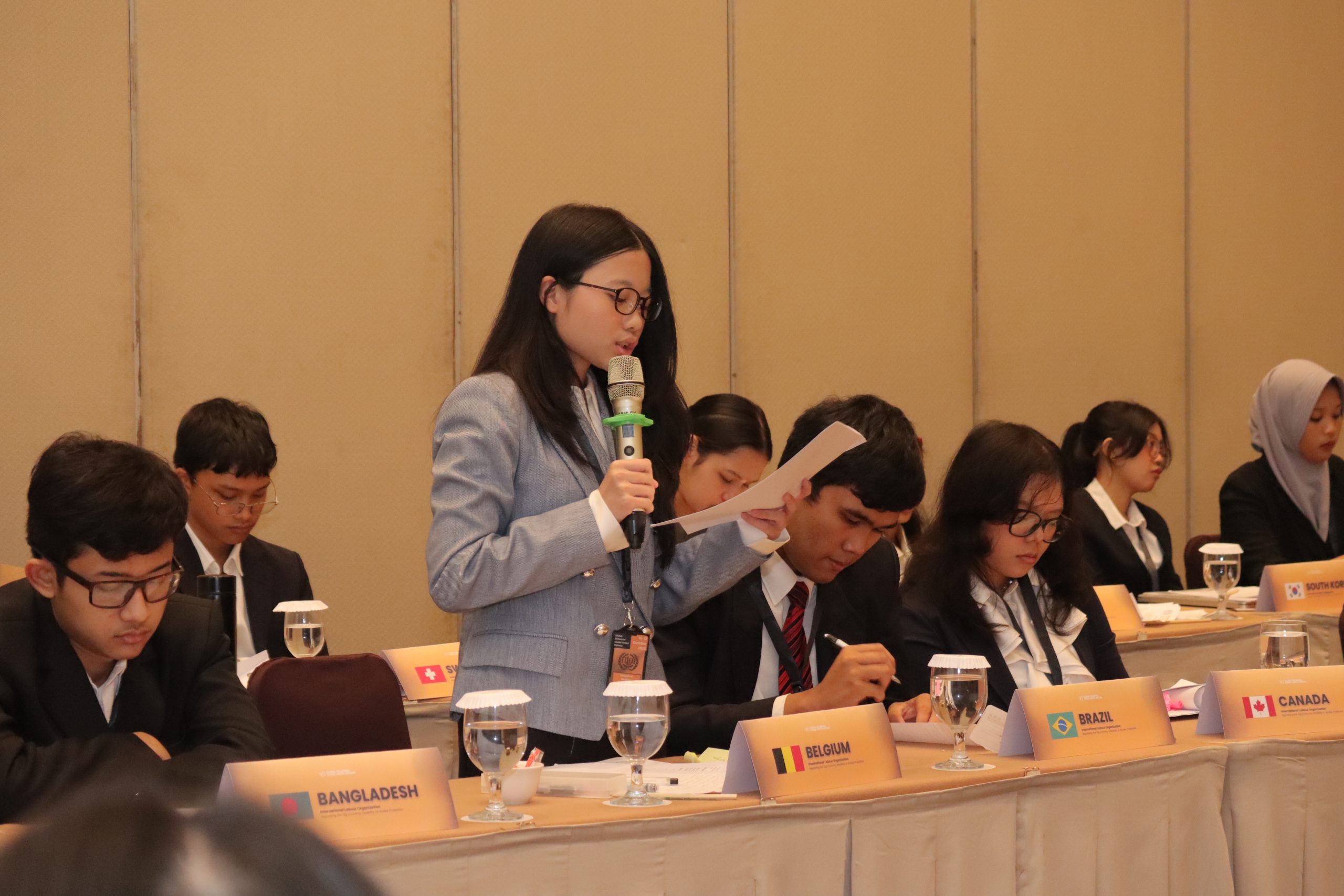 Model United Nations